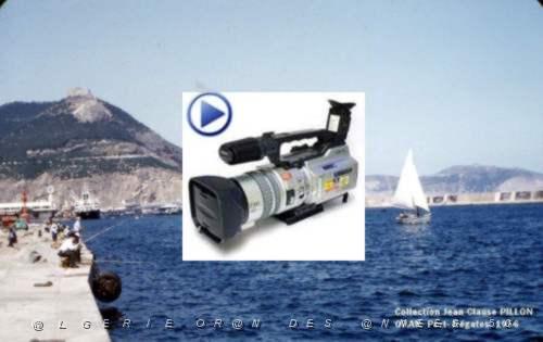 Y  VIDEO COLLECTION JC PILLON.jpg